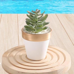 Peut inclure: Un petit pot en céramique blanche avec un bord doré, rempli d'une plante succulente verte. Le pot est posé sur un dessous de plat en bois avec des cercles concentriques.