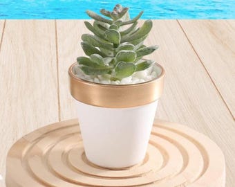 White Terra Cotta Pot 2.5 Inch Tiny Mini Clay Pots Flower Nursery