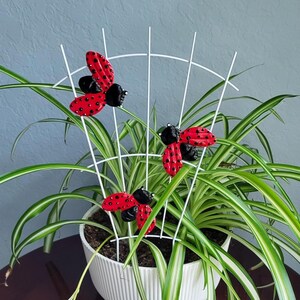 Puede incluir: Un enrejado blanco con tres decoraciones de mariquitas rojas y negras, colocado en una maceta blanca con una planta verde y blanca. Las mariquitas tienen alas rojas con lunares negros y cuerpos negros.