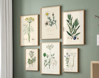 Conjunto imprimible de 6 impresiones de plantas británicas, impresiones vintage del siglo XIX, impresiones de helechos botánicos, decoración moderna, decoración escandinava, arte de la pared del dormitorio