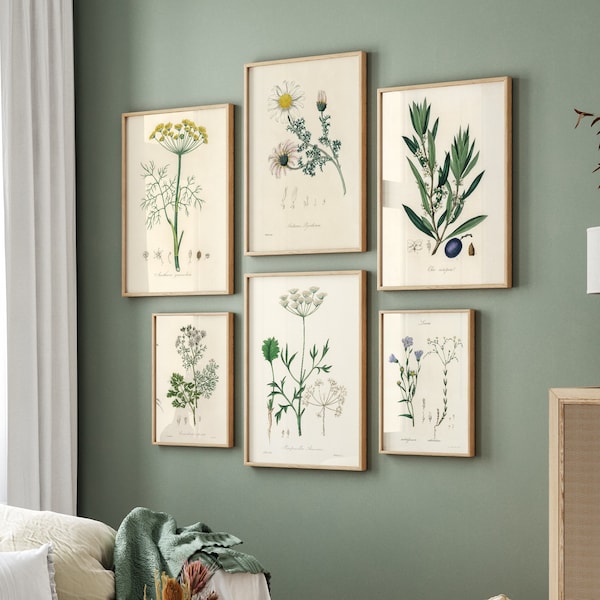 Ensemble imprimable de 6 estampes de plantes britanniques, estampes vintage du 19e siècle, estampes de fougère botanique, décor moderne, décor scandinave, art mural de chambre à coucher