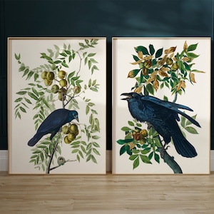 SET of 2 Dark Raven Print, Dark Print, Botanical Crow Poster, Gothic Home Decor, Raven print, Vintage Crow Poster, Bird wall art decor