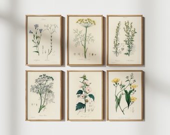 SET of 6 British Plants Prints, Vintage 1890s Prints, British Fern prints, Modern Art decor, Scandinavian Decor, Bedroom wall art, Gift Idea