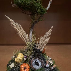 May include: A whimsical miniature diorama featuring a small tree covered in green moss, with dried wheat stalks, and decorative pumpkins. A small clock face and miniature bottles are also included, creating a unique, handcrafted display.