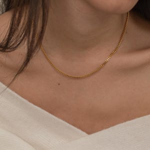 May include: A delicate gold chain necklace. The necklace is a simple, classic design, with small, evenly spaced links. The chain is worn around the neck, and the gold color provides a subtle, elegant accent. The necklace is a piece of jewelry.