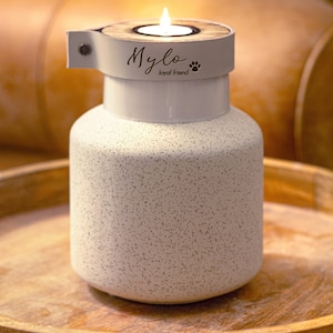 Modern pet urn