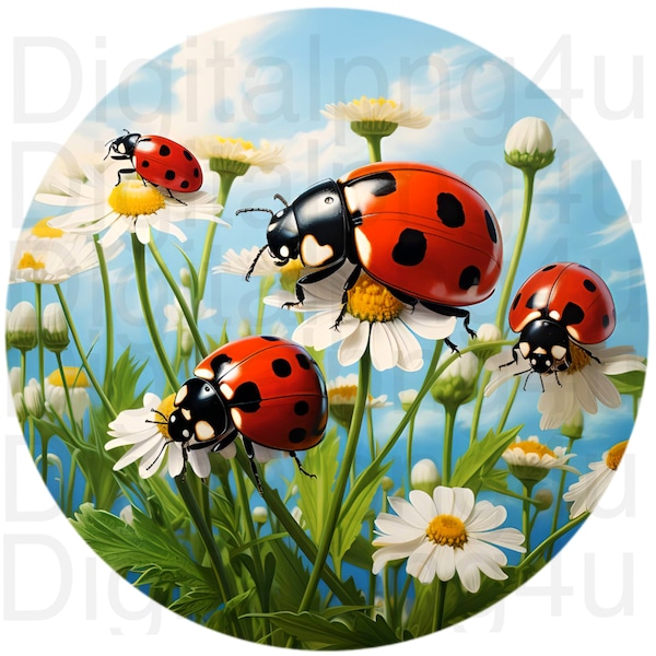 Ladybugs daisies round png sublimation digital design download wreath sign wind spinner cutting board country image