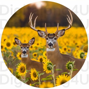 Könnte beinhalten: Zwei Rehe stehen in einem Feld mit gelben Sonnenblumen. Die Rehe schauen in die Kamera. Die Rehe sind braun mit weißen Flecken. Die Sonnenblumen blühen in voller Pracht.