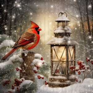 Kardinal und Laterne Winter Weihnachten png Sublimation digitales Design Download Kranz Zeichen Windspiel Schneidebrett Schattenbox PNG