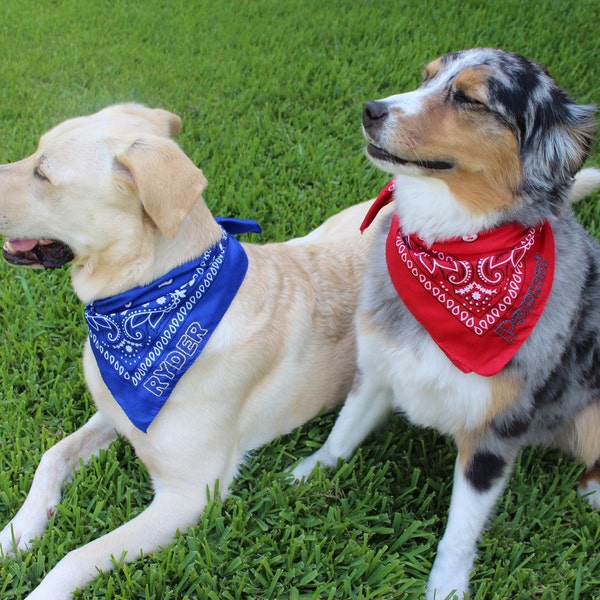 Hand Stitched Bandanas, Personalized Name Bandana, Customizable Bandana,  Dog Bandana, Bandana Gift, Hand Embroidered