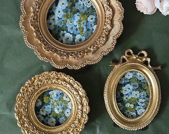 Colección de flores nomeolvides en marcos vintage, arte floral en miniatura.