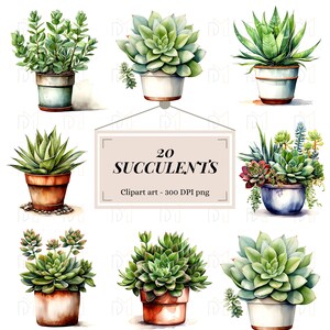 20 Clipart files Succulents 300 DPI