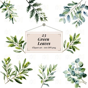 23 Clipart files Green Leaves 300 DPI