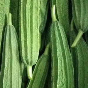 Long Ribbed Luffa Seeds / 长棱丝瓜种子 – 10 Seeds per Pack | Early-maturing ...