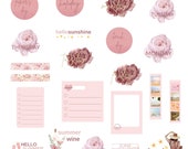 Summer Aesthetic Stickers - June Planner Decor, Digital GoodNotes & Art Journal Set, Seasonal Decor