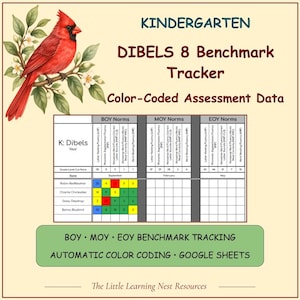 May include: A digital Kindergarten DIBELS 8 Benchmark Tracker spreadsheet featuring a red cardinal illustration. The document includes BOY, MOY, and EOY norms, colour-coded assessment data for student names, and the text The Little Learning Nest Resources.