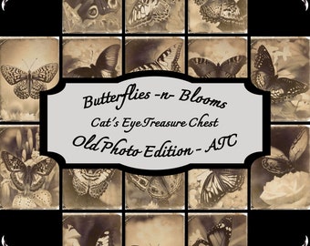 Butterflies -n- Blooms - Old Photo Edition - Artist Trading Cards (ATC) - Printable Digital Download Set