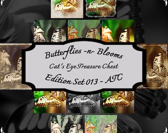 Butterflies -n- Blooms - Edition Set 013 - Artist Trading Cards (ATC) - Printable Digital Download Set. Springtime Scrapbook.