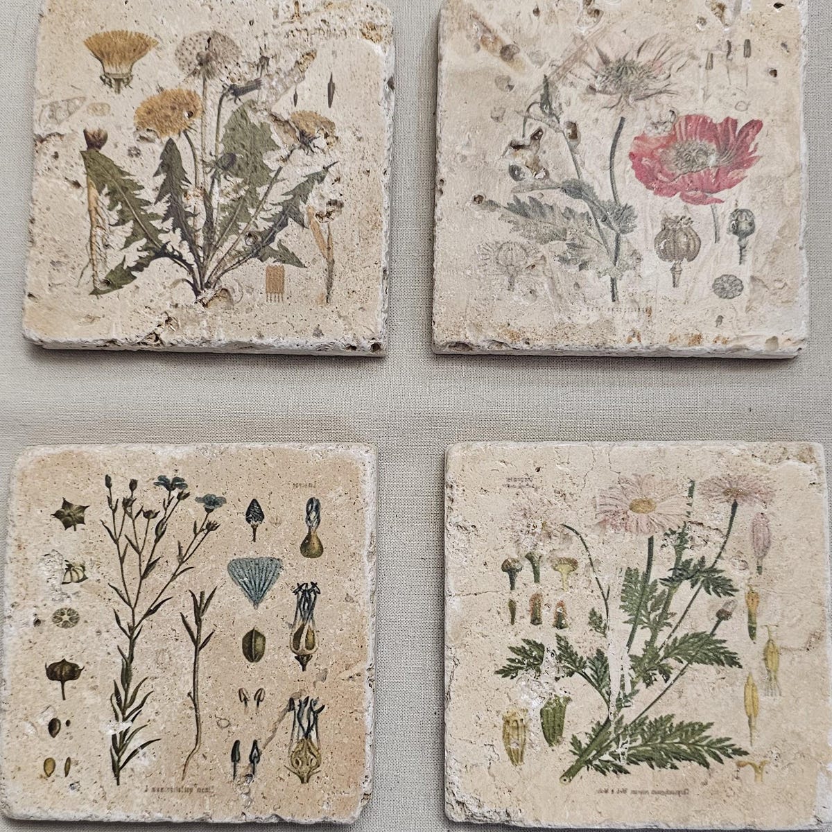 Dandelion Travertine Coasters - Etsy
