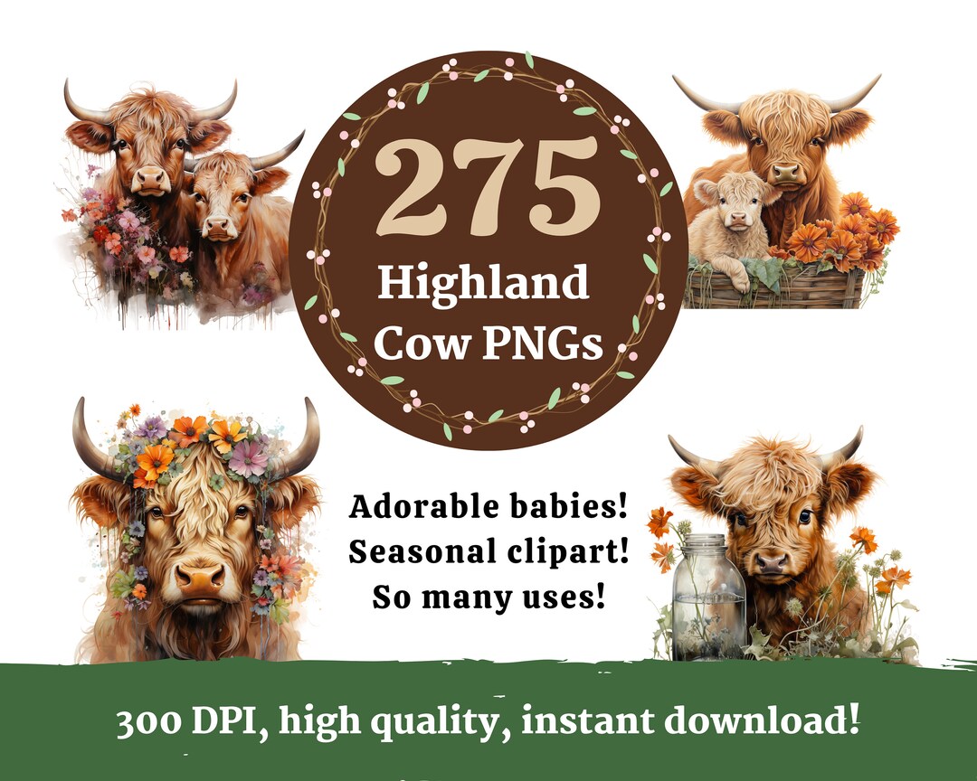 Highland Cow PNG Bundle, Clip Art, Baby Cow, Cow PNG, Cow Watercolor ...