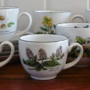 Beautiful Royal Worcester Herbs 22 piece tea set 1980s