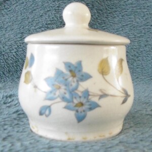 Puede incluir: Un azucarero de cerámica blanca con tapa, adornado con un estampado floral de flores azules y hojas amarillas. El azucarero tiene forma redondeada y un pequeño pomo en la tapa. El diseño es de estilo vintage.