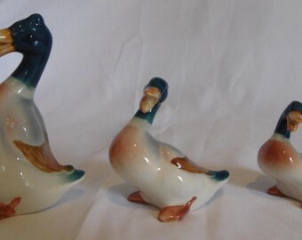 May include: A set of three ceramic duck figurines in descending sizes. Each duck features a glossy finish with a dark blue head, a white chest, and brown wing details. The ducks are posed in different positions, with the largest standing upright.