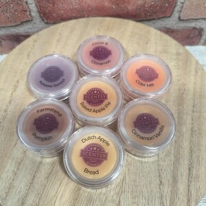 May include: Seven small, round, clear plastic containers filled with colored wax melts, each featuring a Scentsy label. The scents include Autumn Sunset, Clove & Cinnamon, Cider Mill, Baked Apple Pie, Farmstand Pumpkin, Dutch Apple Bread, and Cinnamon Vanilla.