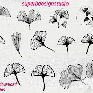 Gingko Leaf Outlines SVG,Gingko Leaves SVG,Digital Download,Gingko Leaf Clip Art,Leaves SVG,Gingko Leaf Png - Black and White Svg