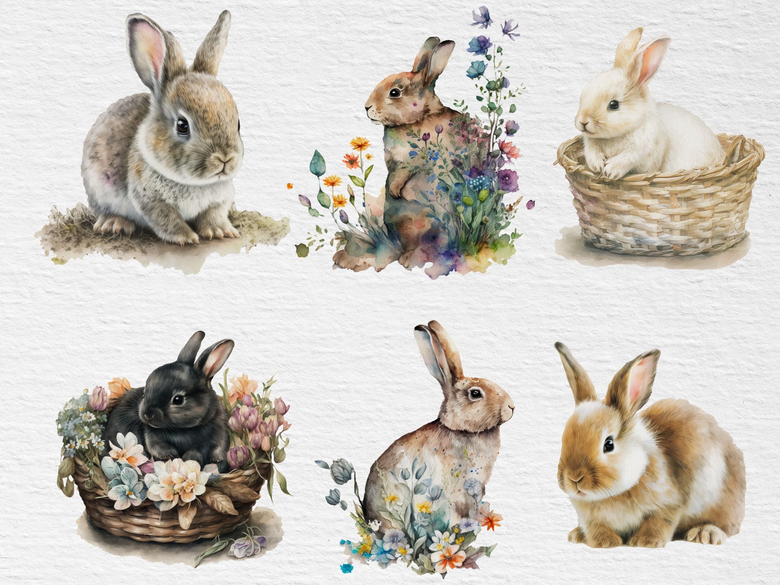 Watercolor Rabbits Clipart Bundle Floral Bunnies Clip Art - Etsy