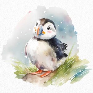 Arctic Animals Clipart Bundle, Watercolor Seal PNG Bundle, Polar Bear ...