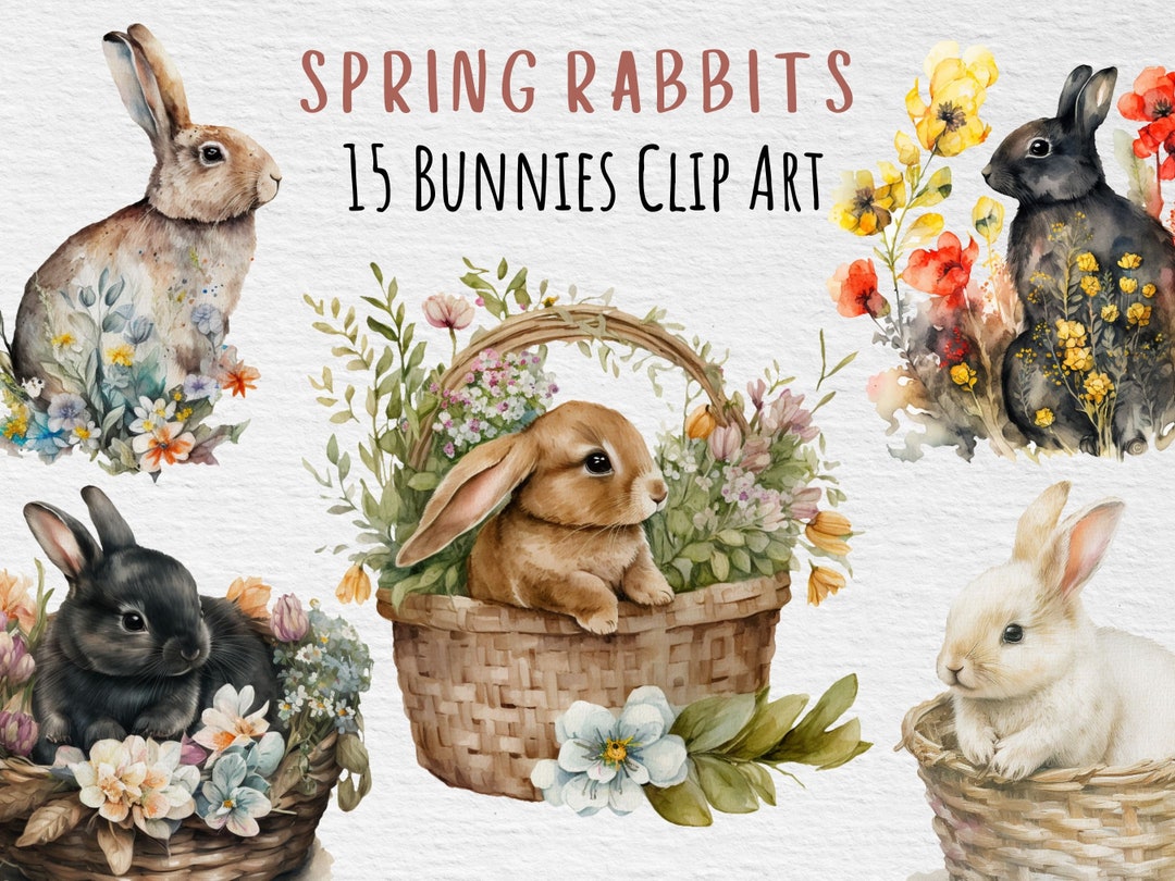 Watercolor Rabbits Clipart Bundle Floral Bunnies Clip Art - Etsy