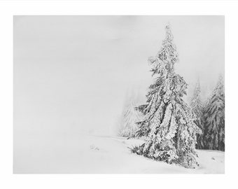 Graphite Landscape, Snowfall on Trees, winter, pencil drawing, wall decorations, print