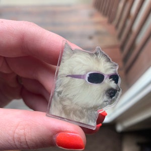 Cool Doggie Pin