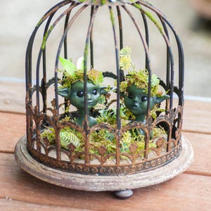 OOAK Polymer Clay Mosslings: Forest Fae Miniature Display