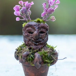 May include: A small brown clay figure with a textured, wrinkled face emerging from a terracotta pot. The figure has two sprigs of purple flowers growing from its head and is surrounded by green moss tucked into the rim of the pot.