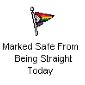 May include: A rainbow flag with a white pole and the text "Marked Safe From Being Straight Today".