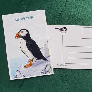 May include: Two postcards featuring bird illustrations. One shows an Atlantic Puffin perched on a rock, with the text "Atlantic Puffin." The other postcard has a small bird illustration and lines for writing. The artist's signature is visible.