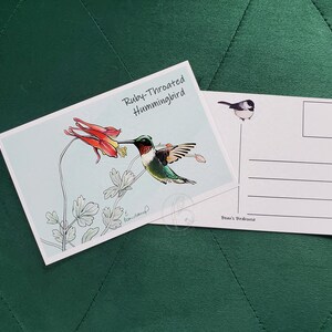 May include: Two postcards featuring illustrations of birds. One shows a Ruby-Throated Hummingbird with a red flower, the other a small bird on a line. Text on the first card reads "Ruby-Throated Hummingbird". The background is a teal color.