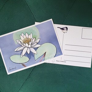 May include: A postcard featuring a watercolor illustration of a white water lily with green leaves. The postcard has a blue background and the text "White Water Lily" is written in the bottom right corner. The back of the postcard has a space for a message and an address.