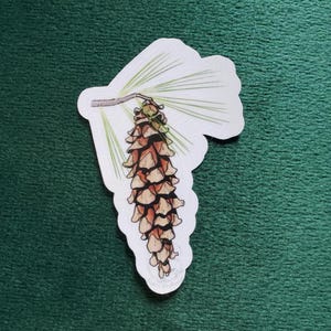 May include: A sticker featuring a detailed illustration of a pine cone hanging from a branch with green needles. The pine cone is brown and tan, with a white border. The sticker is on a green background.
