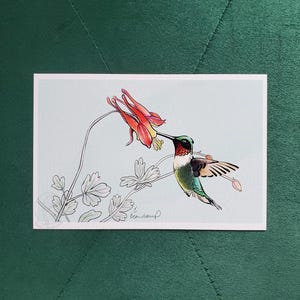May include: A watercolor illustration of a hummingbird feeding from a red and yellow flower. The bird has green, white, and red feathers. The background is a light blue, and the artwork is signed in the bottom right corner.