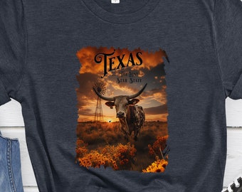 【古着】テキサス大学ロングホーン ６点セット テキサス州ローンスターステートコンフォートカラーズ®Tシャツ
