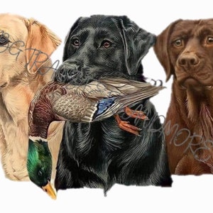 Labrador retriever i kaczka cyfrowe pobieranie