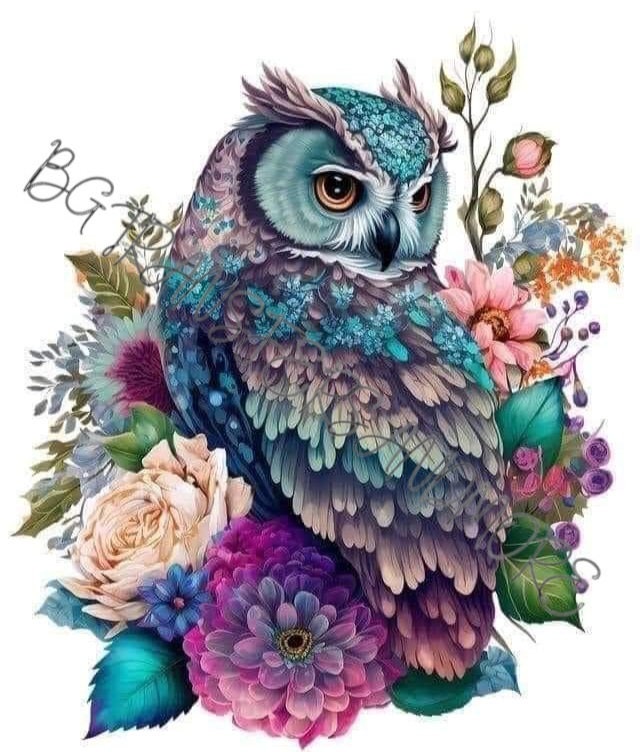 Owl ready to press sublimation heat transfer.