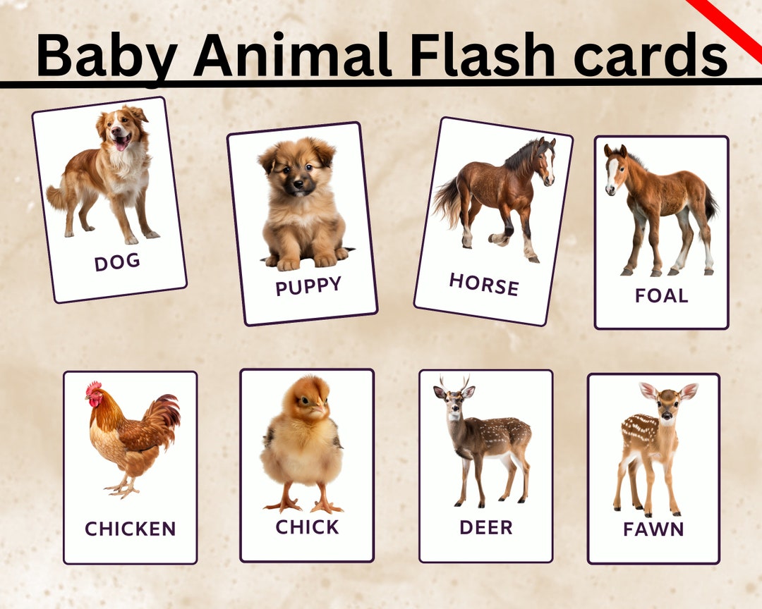 BABY ANIMAL Flashcards for Kids Learning PDF Download Free - Etsy