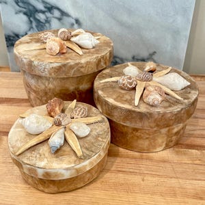 May include: Three round decorative boxes with lids. The boxes are tan and decorated with seashells and starfish. The boxes are on a wooden surface.