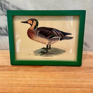 Vintage 1990s Green Plastic 5x7” Frame with Duck Print