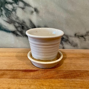 May include: A small, speckled ceramic planter with a matching saucer. The off-white pot has a slightly textured surface with horizontal ridges. The saucer sits beneath the pot, creating a cohesive and functional design. Ideal for small plants or succulents.