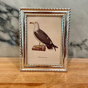 May include: A rectangular silver-toned picture frame with a twisted rope-style border containing a vintage-style print of a seagull standing on a rock. The print features the text Mouette gare noire below the bird illustration on a cream background.